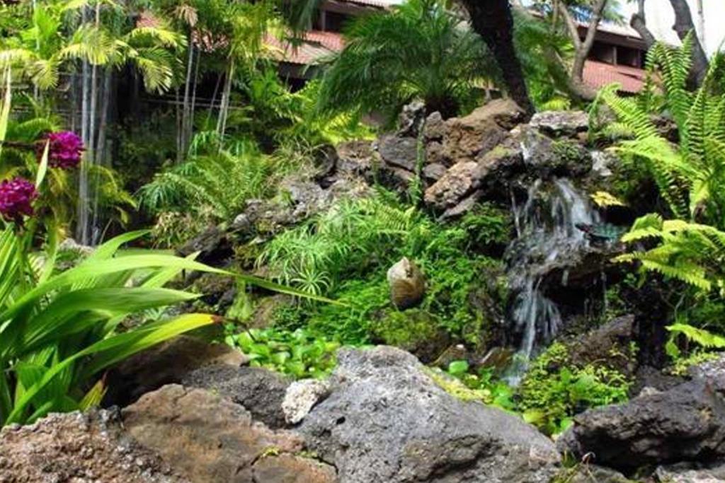 Maui Tranquility Appartement